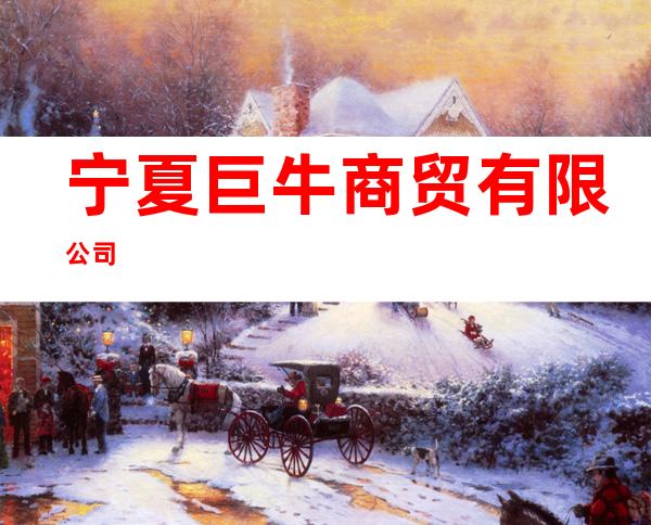 宁夏巨牛商贸有限公司